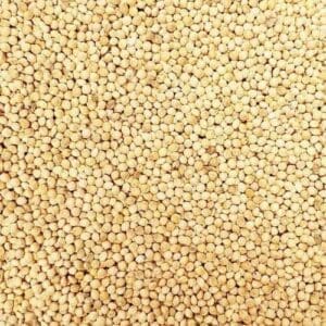 Avigrain White French Millet 2kg