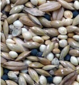 Avigrain Canary Mix 2.5kg