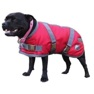 Zeez Supreme Dog Coat Ruby Red / Grey